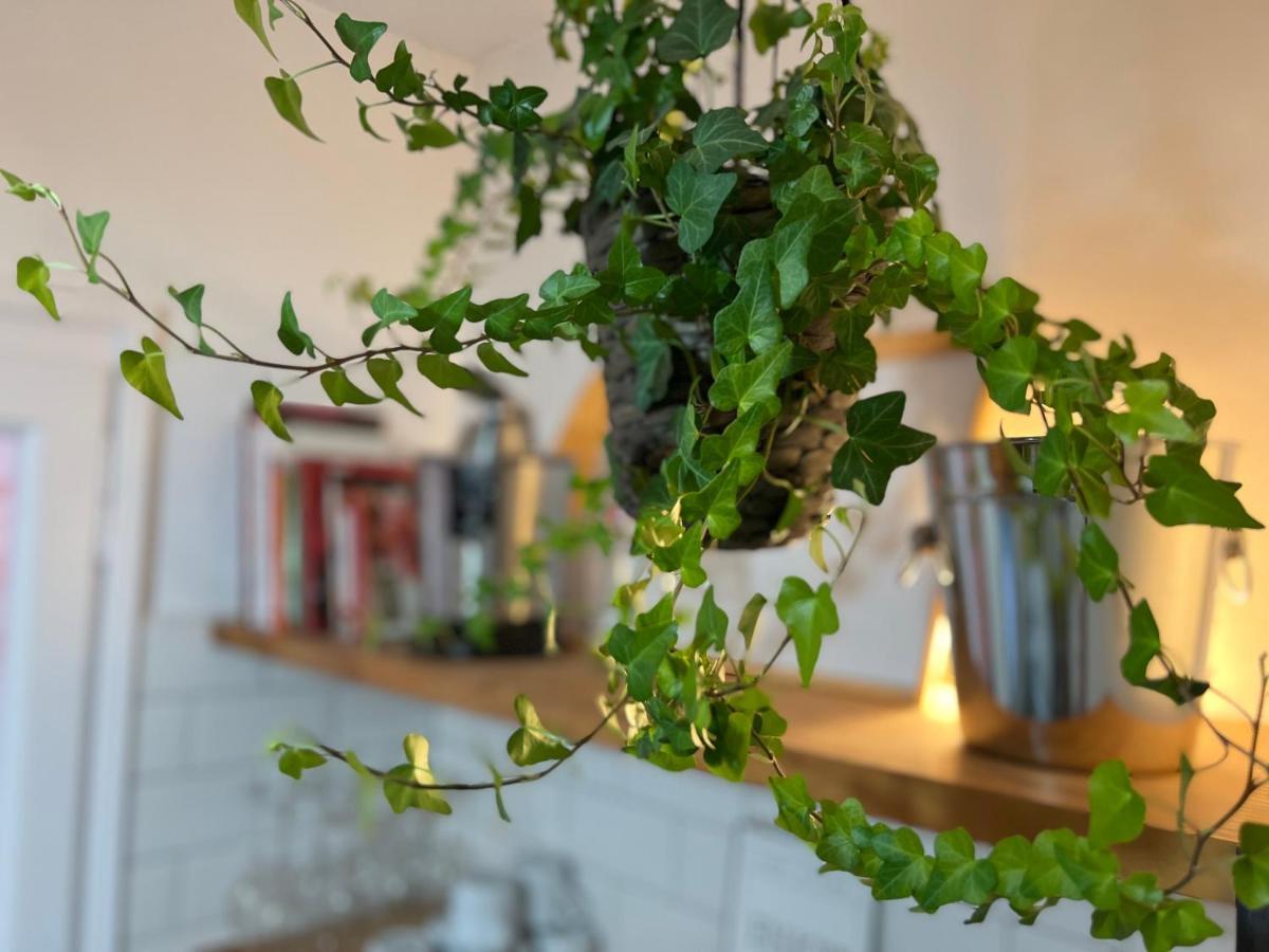 Charming Appartement In The Heart Of Barcelona Eksteriør billede